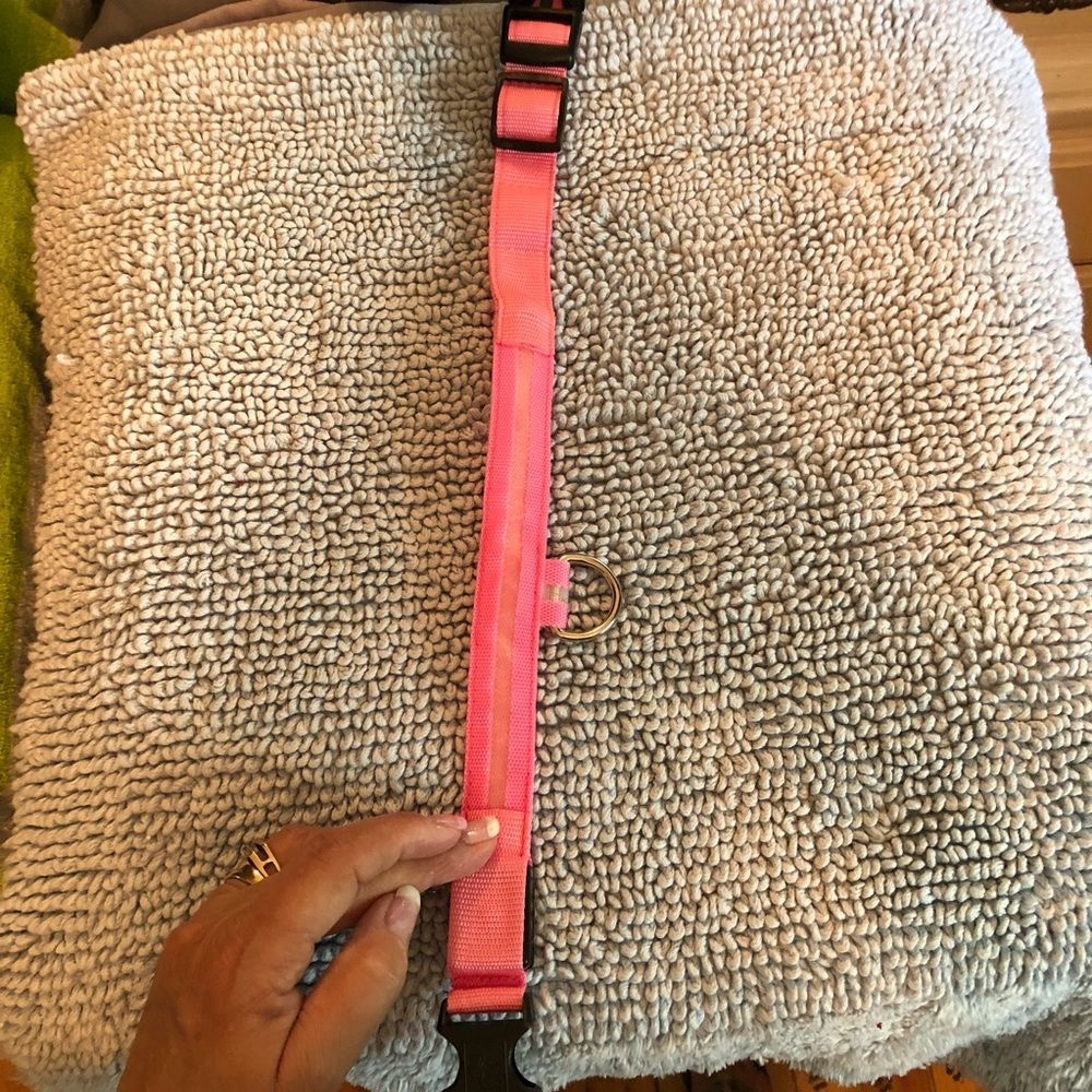 Pink med size dog collar